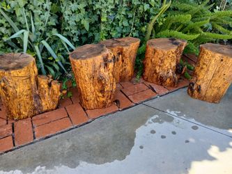 PINE TREE STUMPS/DECOR/PATIO