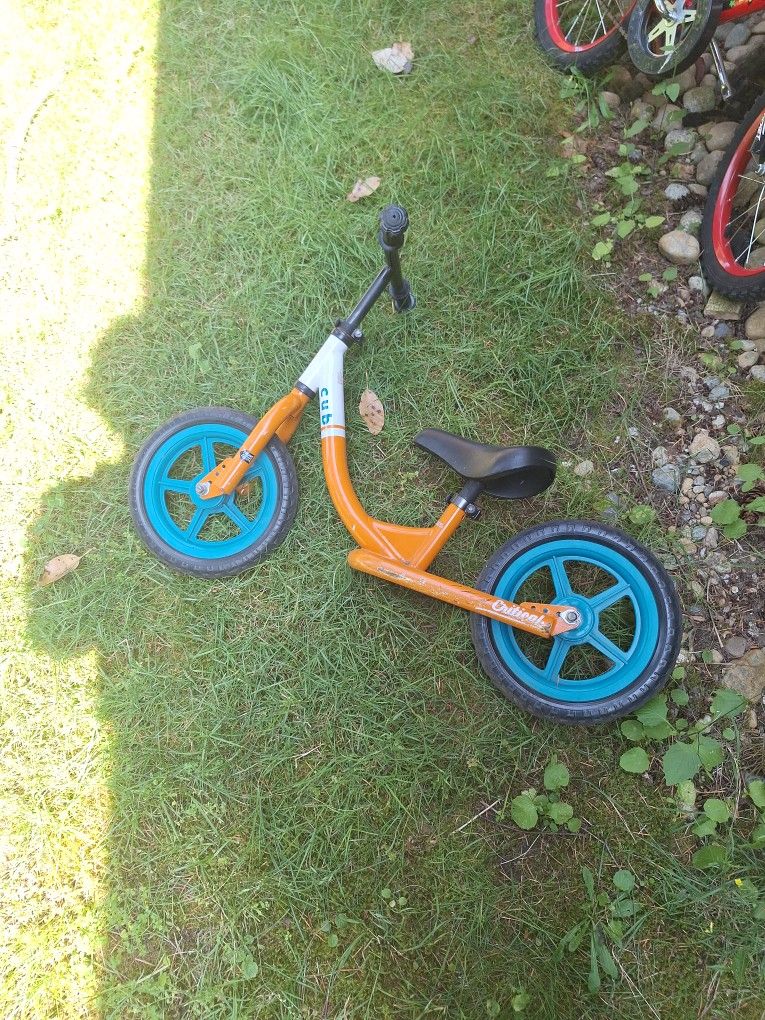 Cub Push Bike