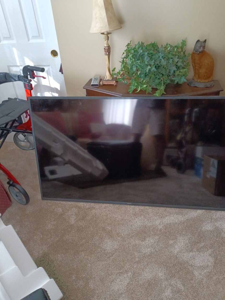 Samsung 60 Inch TV