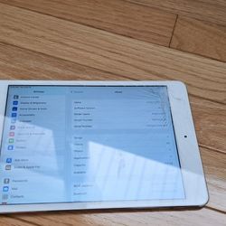 Ipad Mini 4 WiFi 64 GB - Working Great But Broken Screen