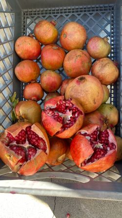 Pomegranates