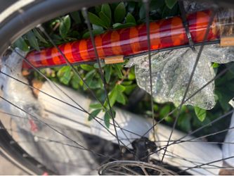 Custom handmade Bamboo Bike