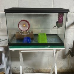 10 Gallon Tank For Hamster