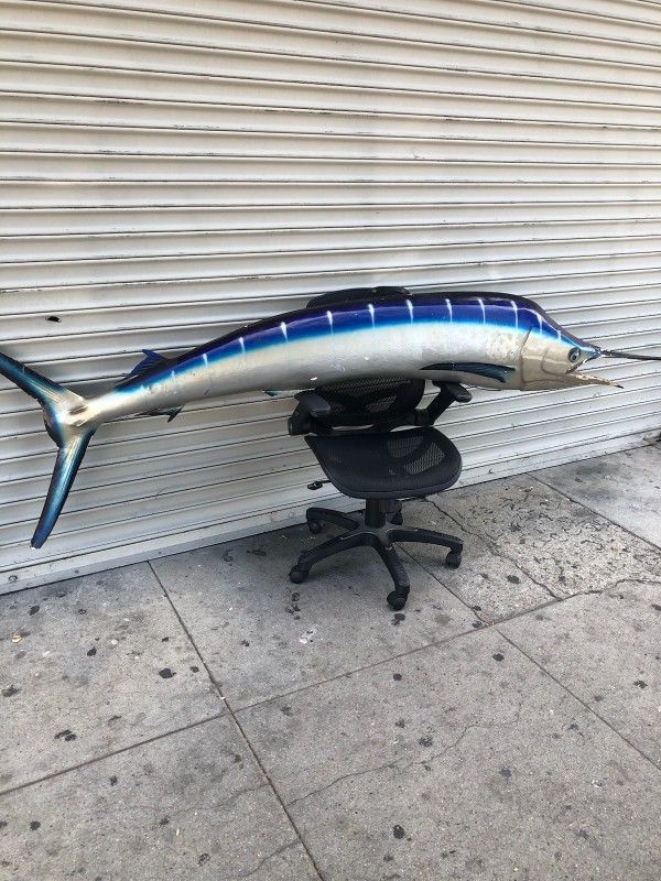 Im Selling My Fish Decoration Restaurante 8 Fts Long