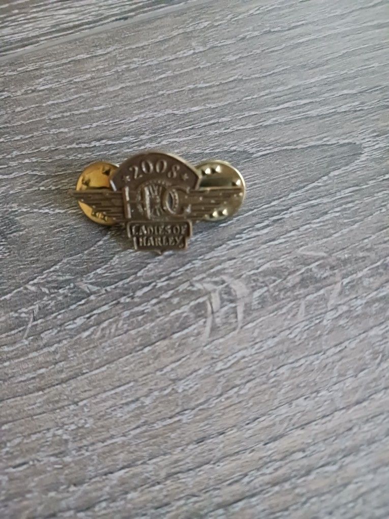 Harley Davidson Pin