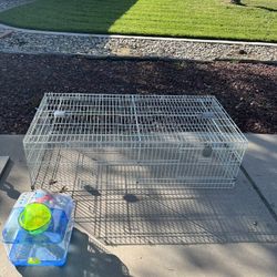 Bunny Cage 