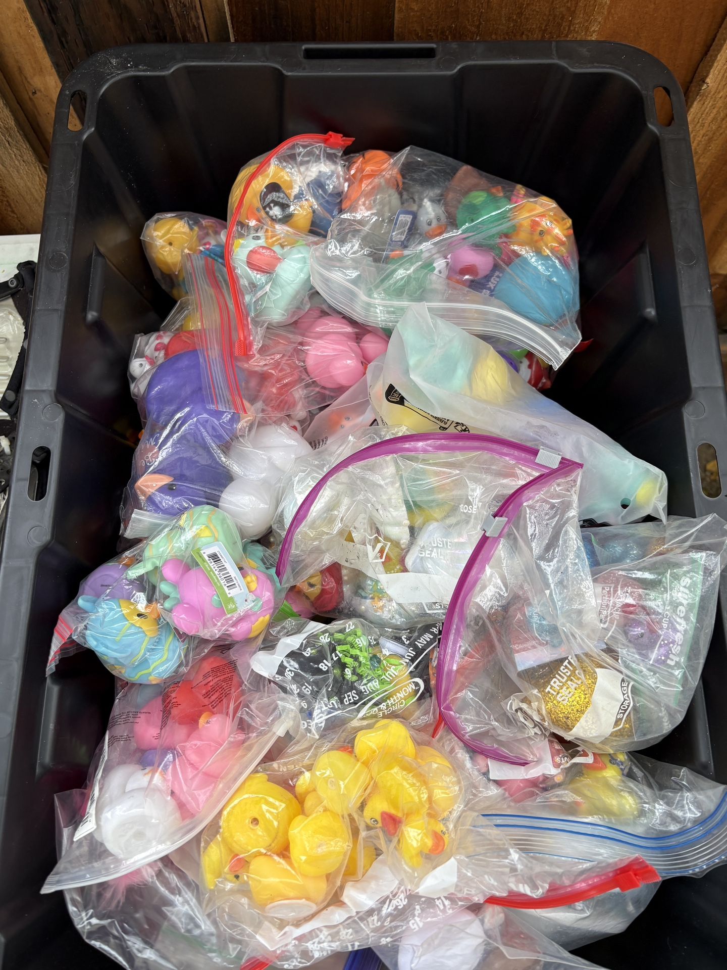 Assortment Of Rubber Ducks! 5 For $10