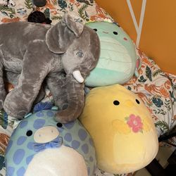 Squishmallows 