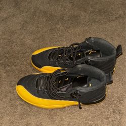 Tried On Jordan 12s