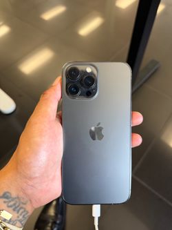 iPhone 13 Pro Max 256G