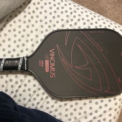 Gator strike Vincimus Paddle