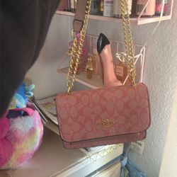 Coach Bag Pink 
