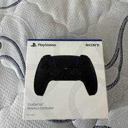 Ps5 Controller