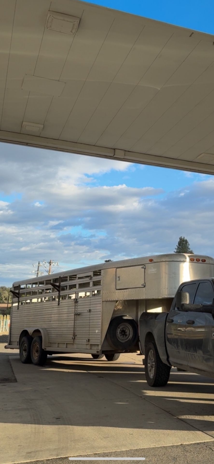 Livestock Trailer