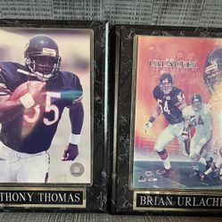 Chicago Bear Plaques 13 X 10