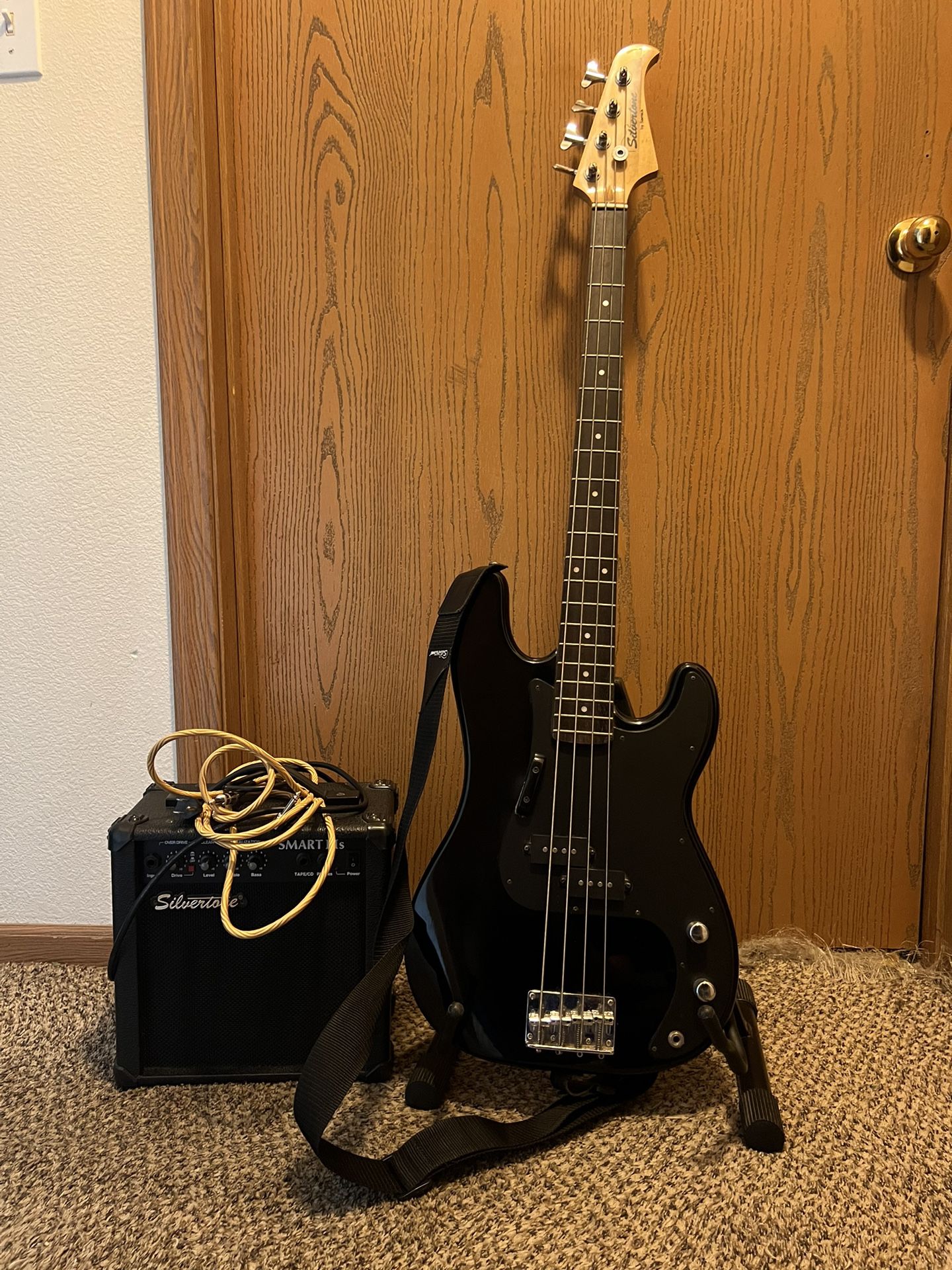 Bass Guitar And Amp With Stand