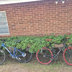 Berry sweet smooth operator Bikes