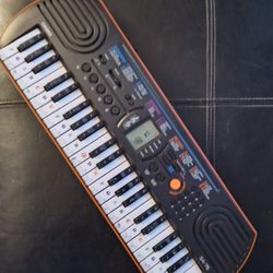 $25  Casio Keyboard