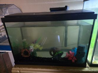 20 gallon fish tank