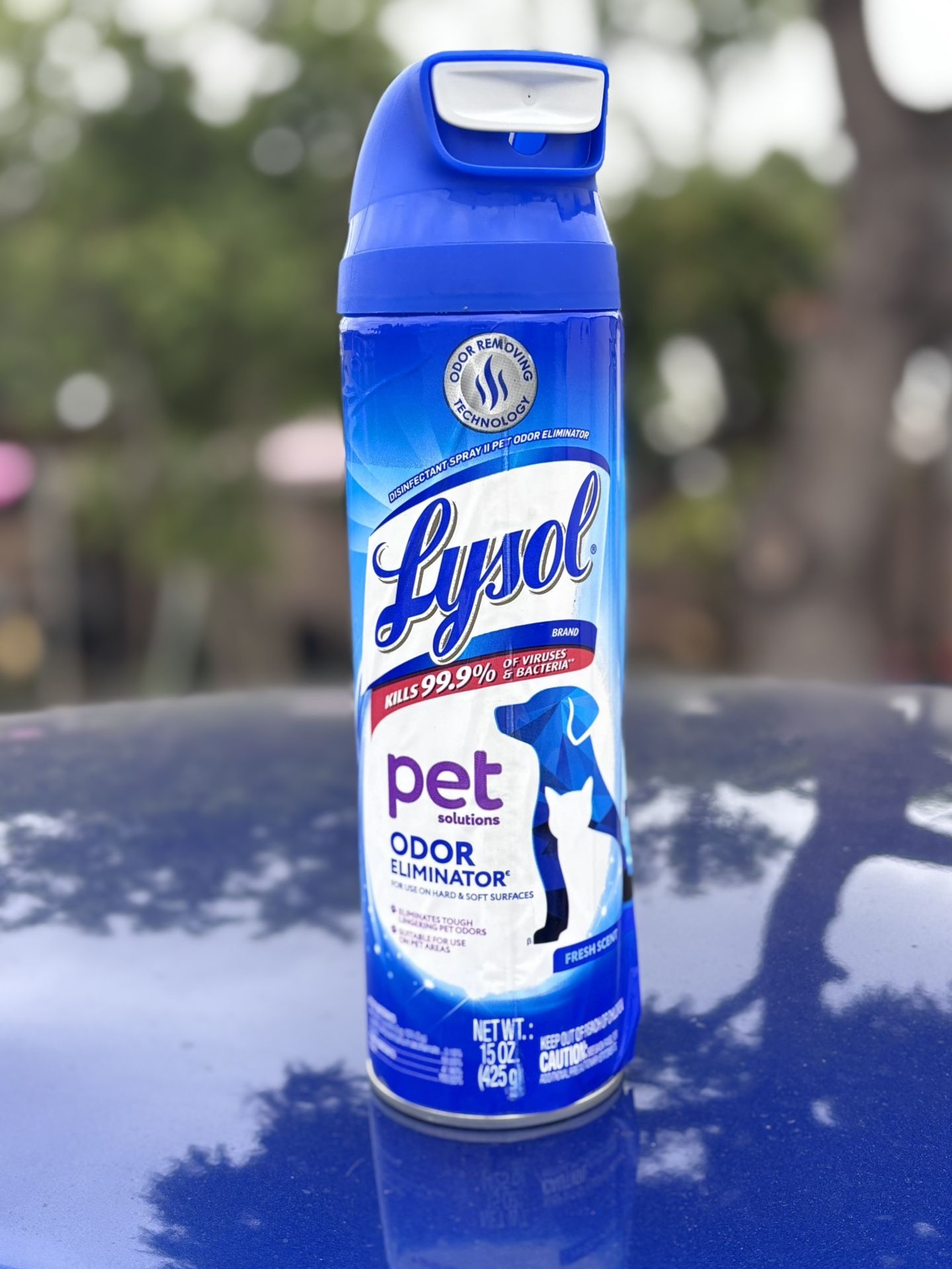 Pet Lysol