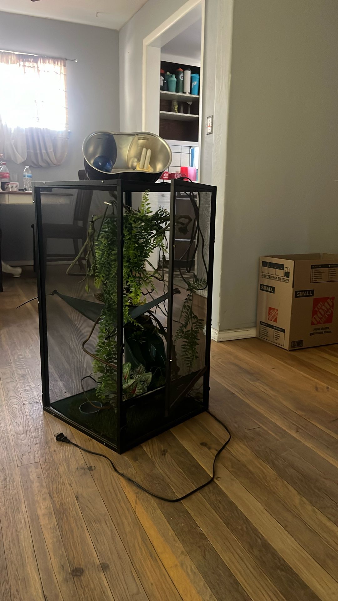 Lizard Cage With Heat Lamps And Water Fall