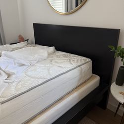 Twin Mattress and Bed Frame