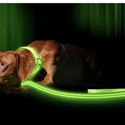 LED High Visible Leash