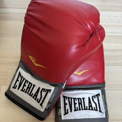 Everlast 12 Oz Red Pro Style Training Boxing Gloves