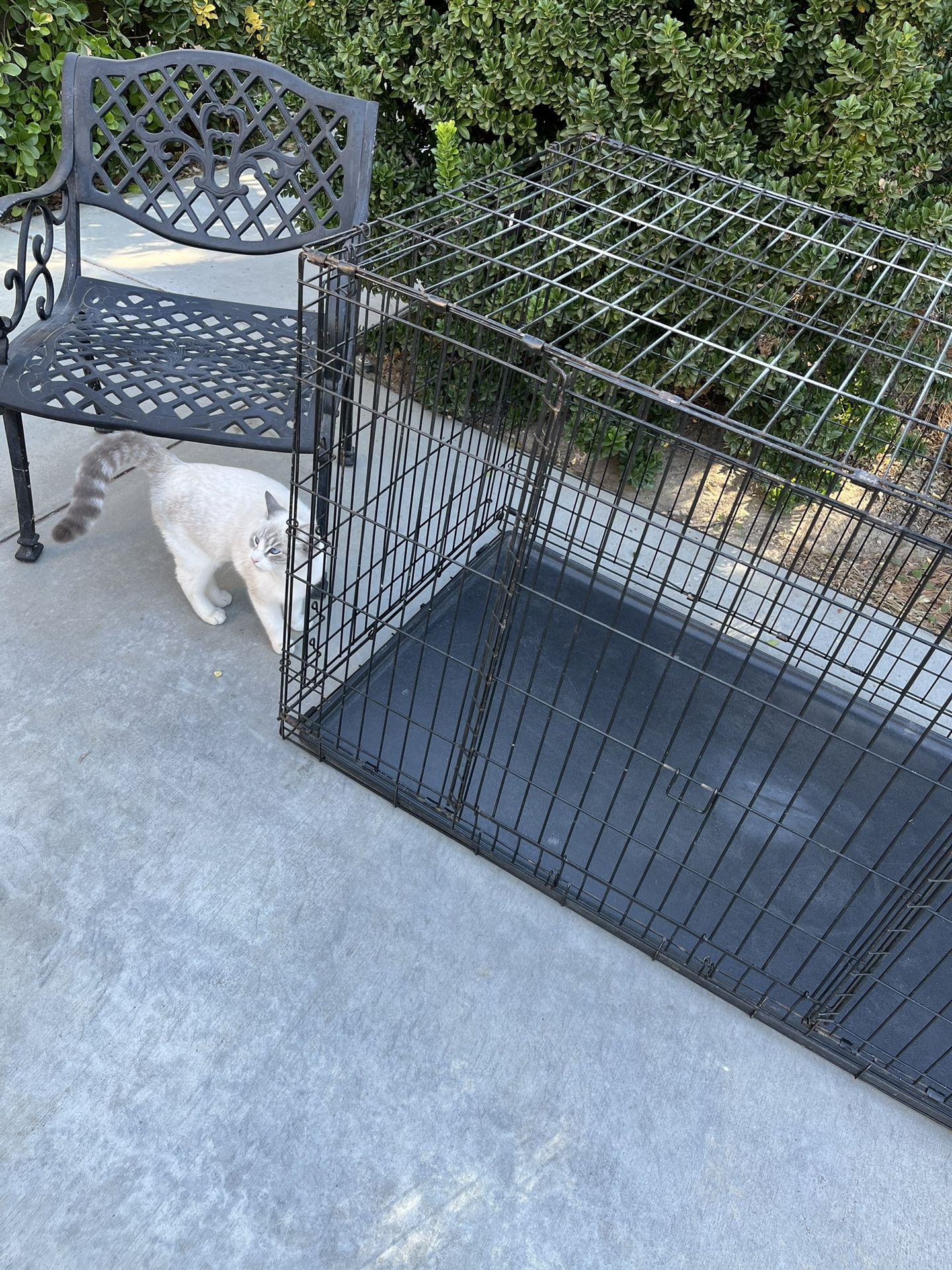 Dog Crate $75 