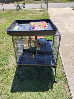 Rabbit cage