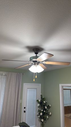 Celling fans