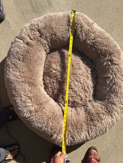 Dog bed