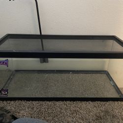 20 Gallon Long Terrarium 