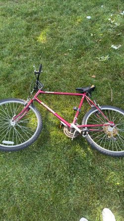 Schwinn impact bike