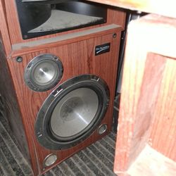 2 12 Inch Home Speakers