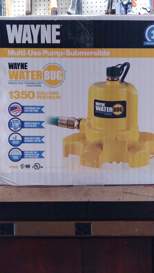 Wayne Water Bug