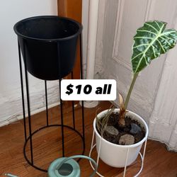 Moving Sale_Household Items