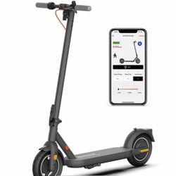 10 Inch 36 Volt App Controlled Stand Up Scooter 