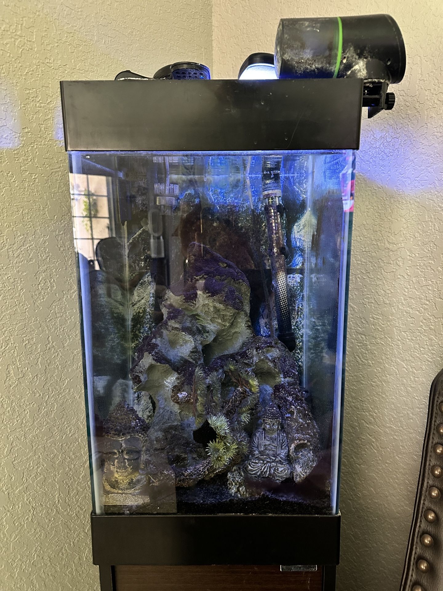 Fish Tank And All Accessories 