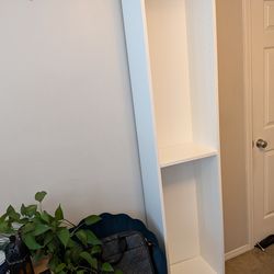 Ikea Billy Bookshelf