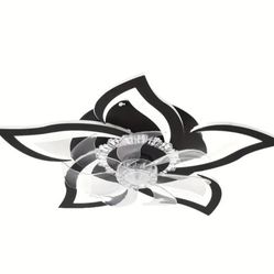 Ceiling Fan