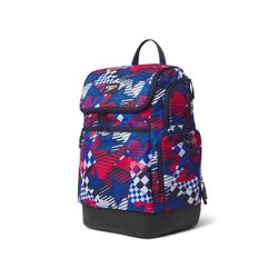 Speedo  Printed Teamsters 2.0