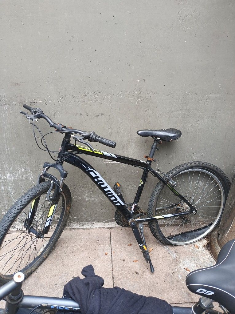 Bike