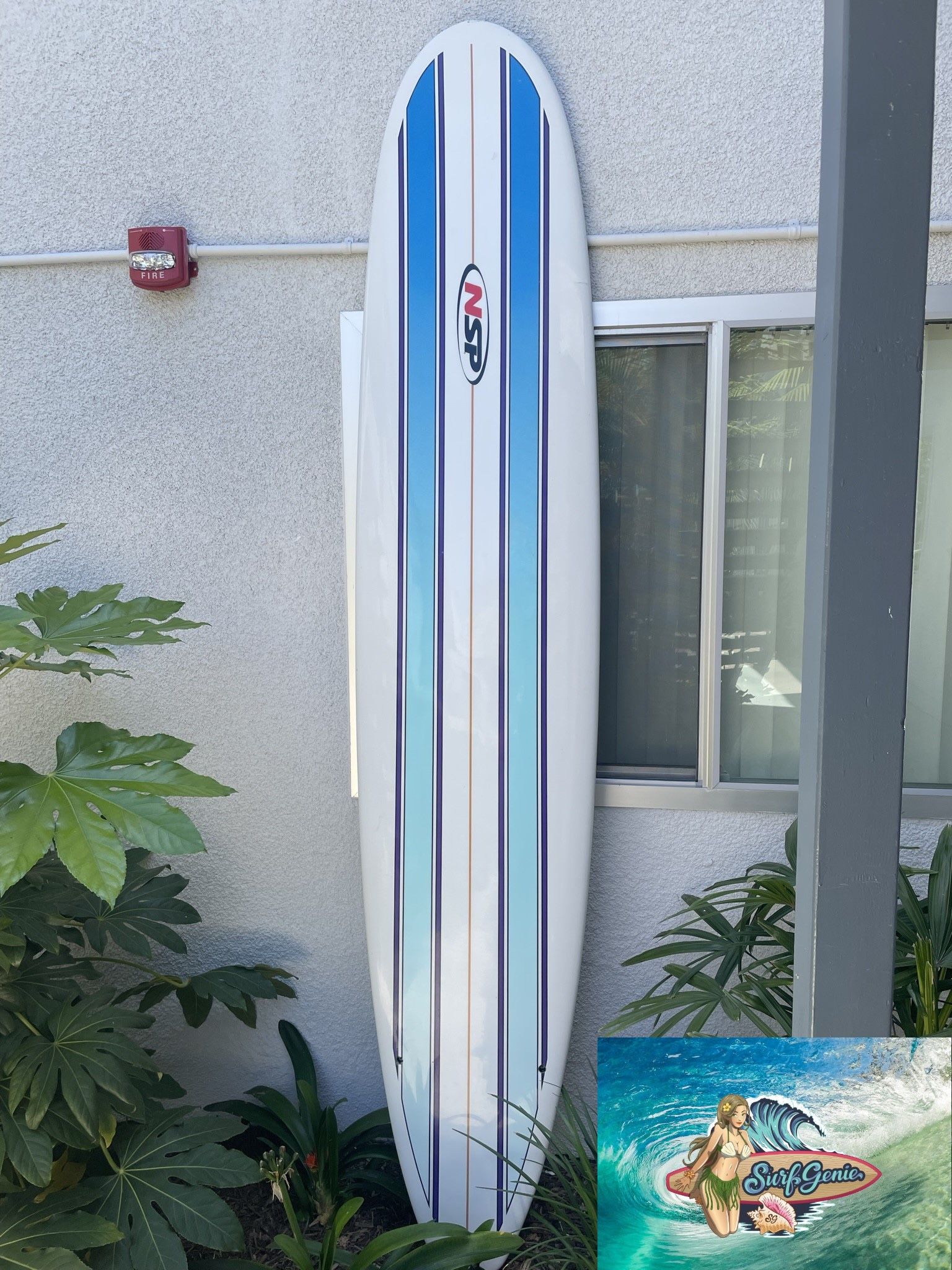 Surfboard NSP 9’2” for Sale in San Diego, CA OfferUp