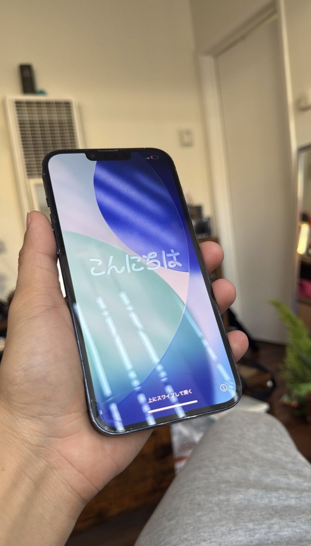 Unlocked iPhone Pro Max 13