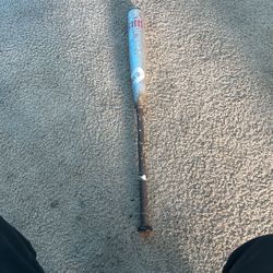 Custom Goods Baseball Bat