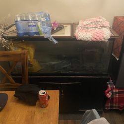 75 Gallon Tank! 
