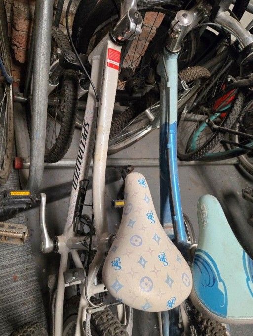 Specialized Hotrock White Girls Bicycle 22