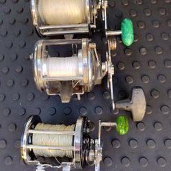 Penn Conventional Reels
