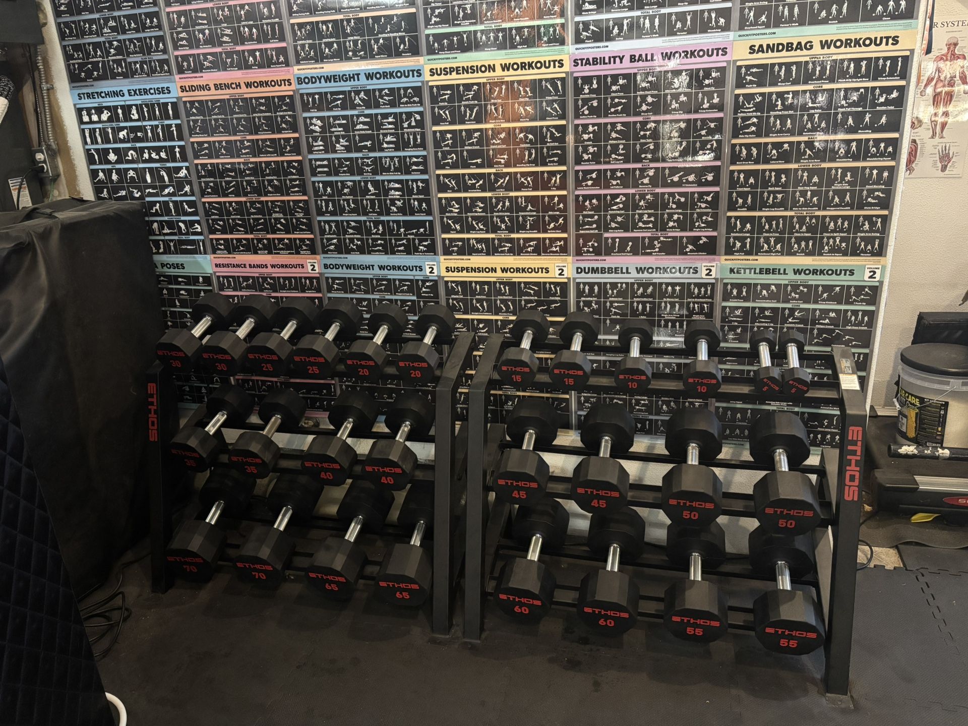 Gym Equipment - Dumb Bells